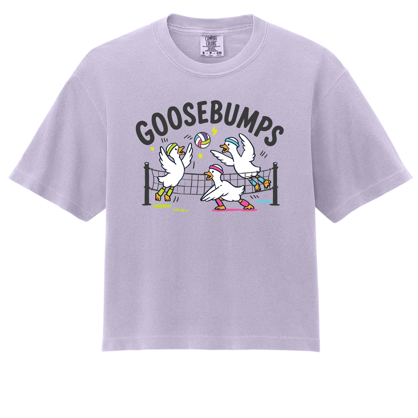 Goosebumps- ADULT Boxy Tee