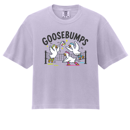 Goosebumps- ADULT Boxy Tee