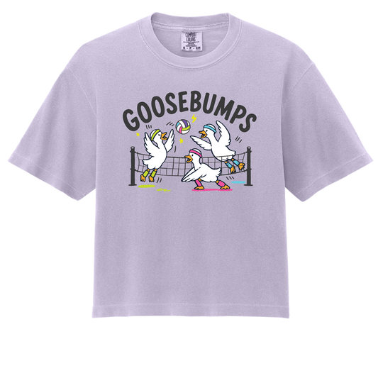 Goosebumps- ADULT Boxy Tee