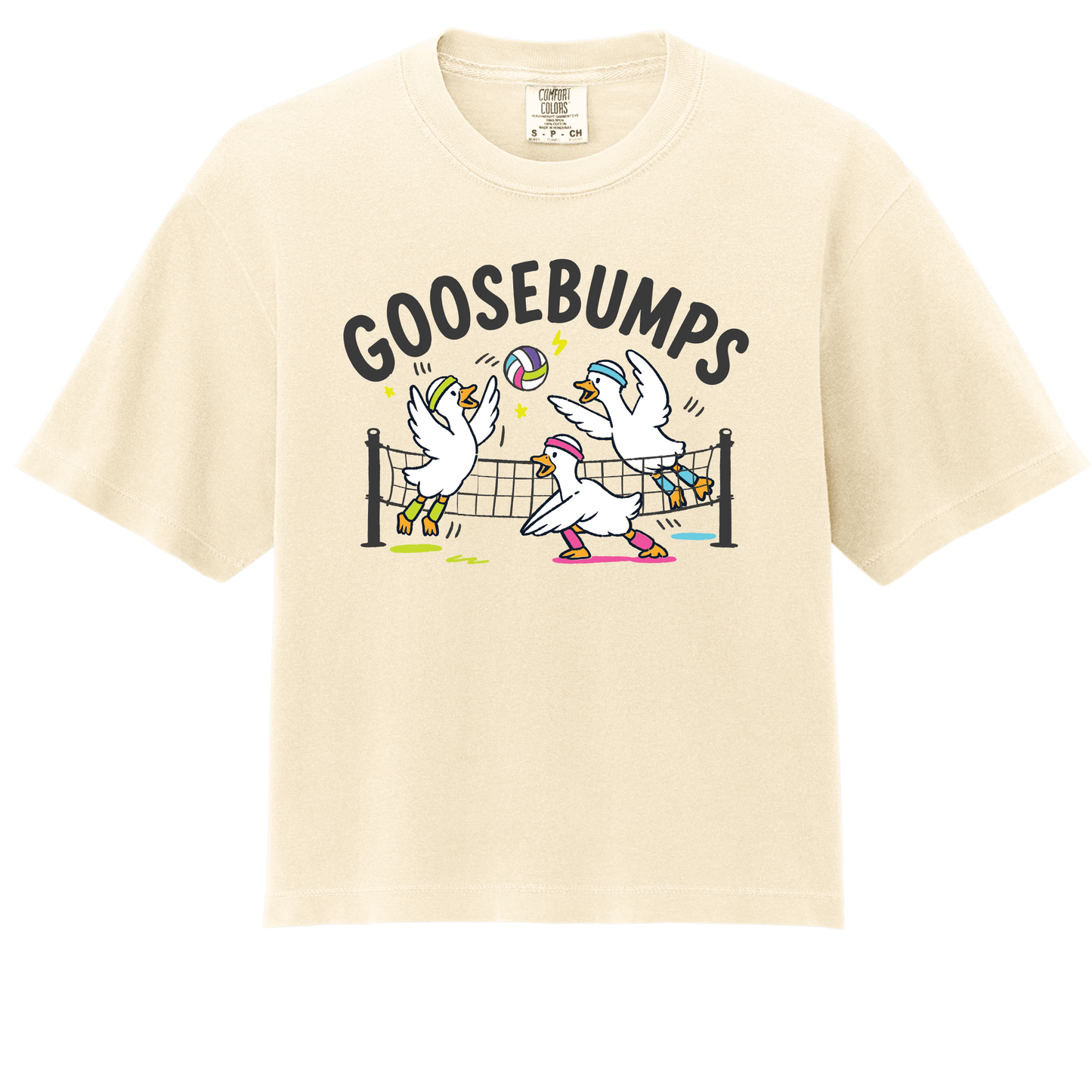 Goosebumps- ADULT Boxy Tee