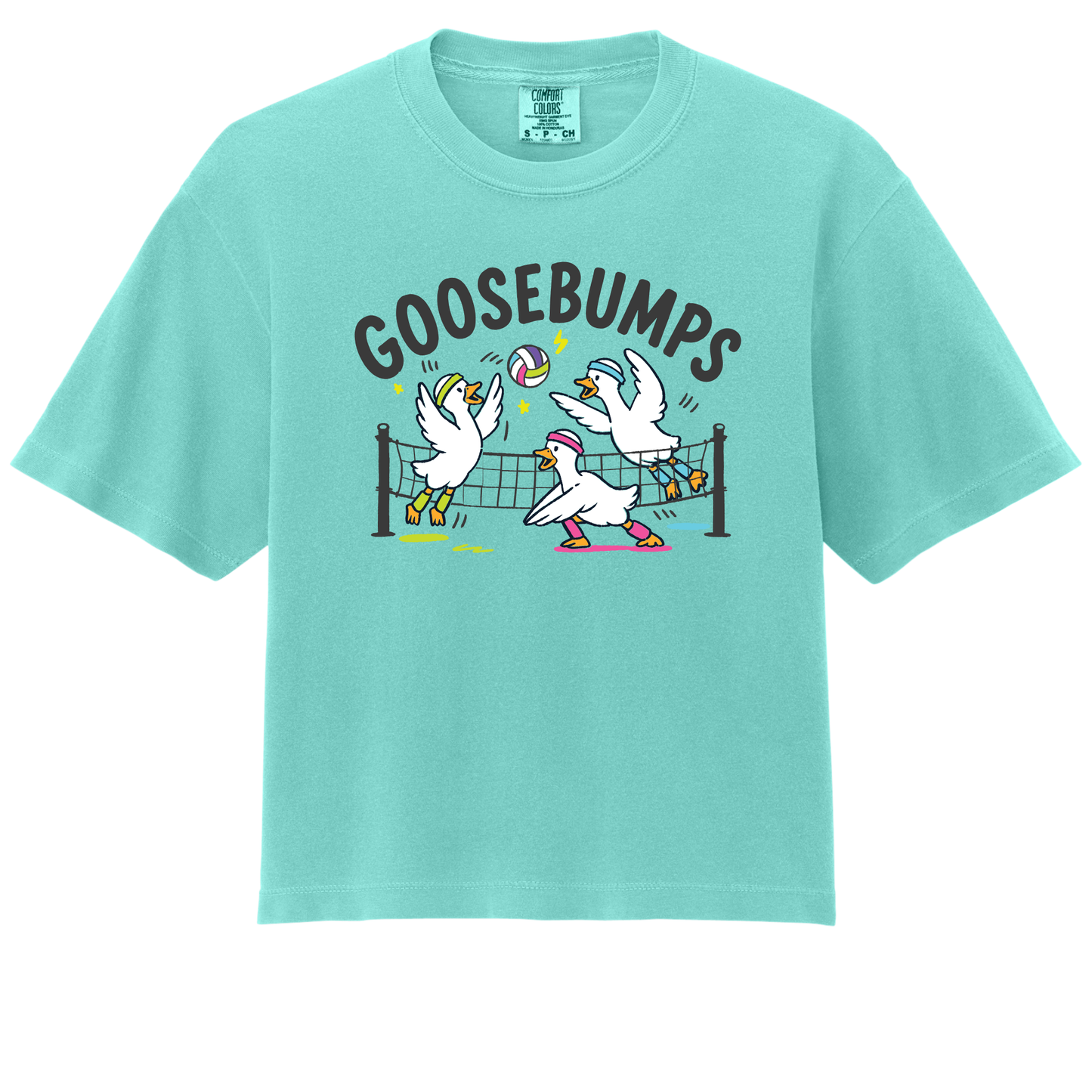 Goosebumps- ADULT Boxy Tee