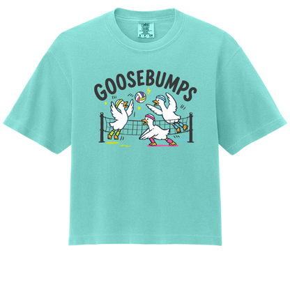Goosebumps- ADULT Boxy Tee