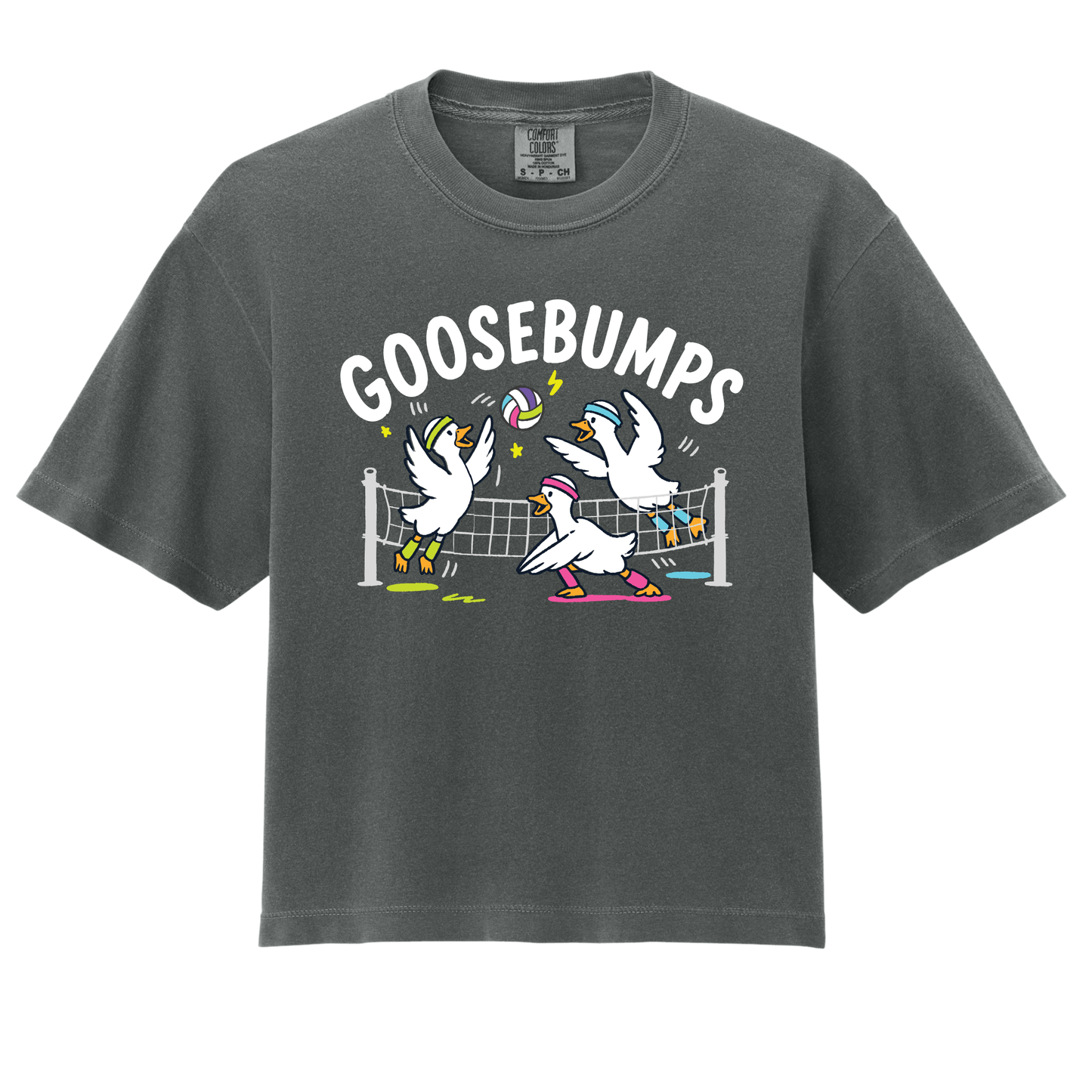 Goosebumps- ADULT Boxy Tee