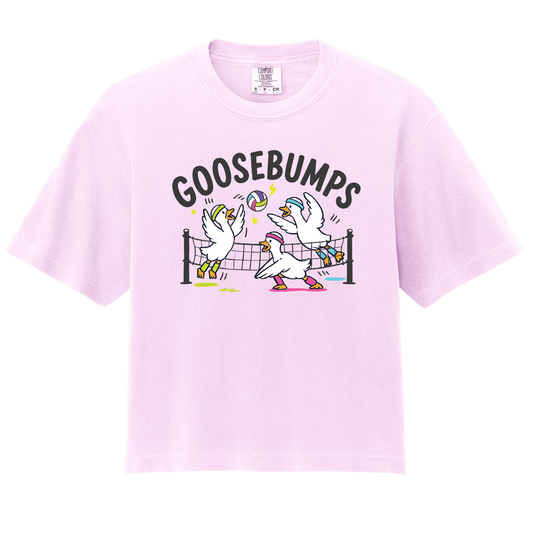 Goosebumps- Boxy Tee